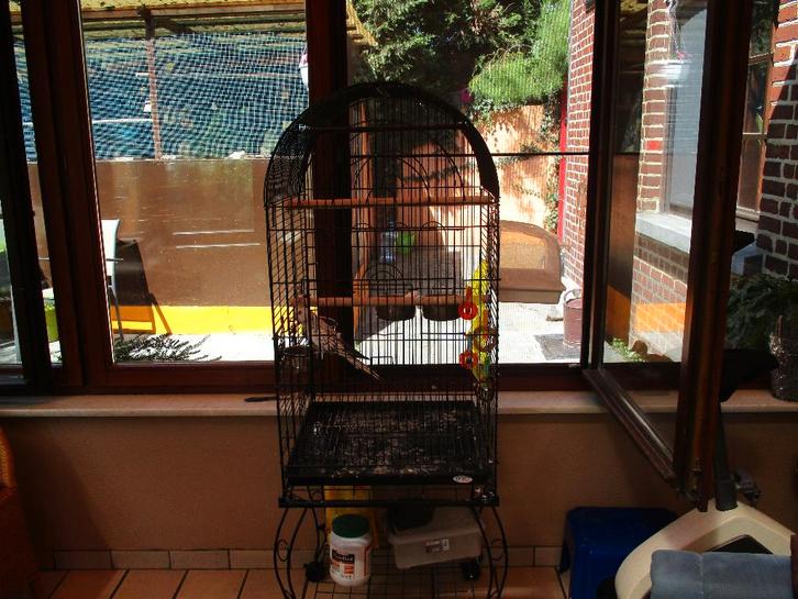 cage, Animaux & Accessoires, Oiseaux | Cages & Volières, Comme neuf, Volière, Métal, Enlèvement
