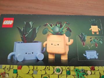 Botanicals lego   9+ beschikbaar voor biedingen