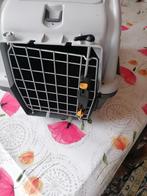 HOND OF KAT BENCHE, Ophalen