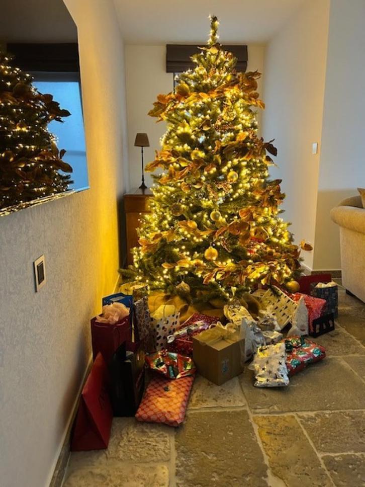 Kerstboom met volledige kerstversiering, Diversen, Kerst, Zo goed als nieuw, Ophalen