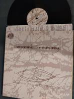 Zion train (2lp passage to india, universal egg, 2005), Cd's en Dvd's, Ophalen of Verzenden