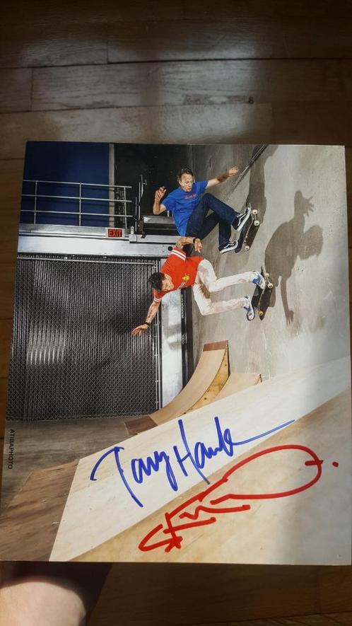 Tony Hawk Skateboard Ondertekend Steve O Signed Jackass, Sports & Fitness, Skateboard, Neuf, Skateboard, Enlèvement ou Envoi