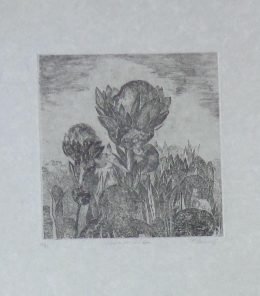 FRANS MINNAERT / GEBOORTE LEVEN / ZW-W ETS / 87x67cm / KADER, Antiek en Kunst, Kunst | Litho's en Zeefdrukken, Ophalen