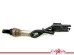 LAMBDASONDE BMW R nineT 2016-2021 (K23) (01-2016/12-2021), Motoren, Gebruikt