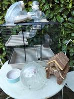 Hamsterkooi met accessoires, Dieren en Toebehoren, Kooi, Gebruikt, Minder dan 75 cm, Hamster