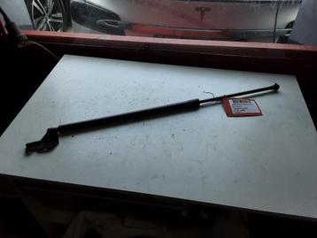 GASDRUKVEER Renault Grand Scénic III (JZ) (904517337) beschikbaar voor biedingen