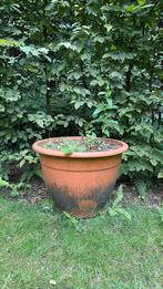 Gratis planten pot, Tuin en Terras, Ophalen, Zo goed als nieuw, Steen