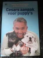 boek dieren Cesars aanpak voor puppy's, Ophalen of Verzenden