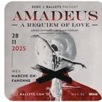 TICKET BALLET AMADEUS REQUIEM OF LOVE MOZART, Tickets en Kaartjes, Concerten | Overige, November
