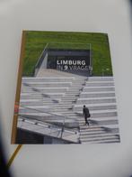 Boek: Limburg in 9 vragen, Enlèvement ou Envoi, Toerisme, Neuf