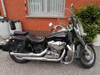 Honda Shadow VT750C, 2008, 21800km, recent onderhoud gehad, Motoren, Motoren | Honda, Particulier, Chopper, 750 cc