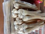 Os pour chien, un lot de 18 os, Enlèvement, Neuf