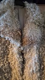 prachtige jas, Kleding | Dames, Jassen | Winter, Ophalen, Zo goed als nieuw, Maat 38/40 (M), Overige kleuren