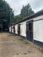 Paarden stalling, Dieren en Toebehoren, Stalling
