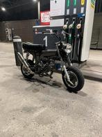 Dax Classe B 150cc YX neuf, Fietsen en Brommers, Brommers | Honda, Ophalen, Overige modellen, Klasse B (45 km/u), Zo goed als nieuw