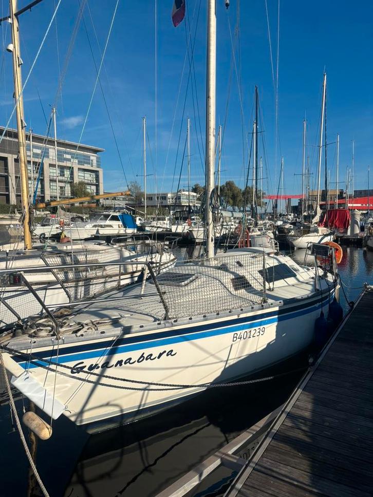 Zeilboot, Watersport en Boten, Zeilen en Zeiltoebehoren, Gebruikt, 6 meter of meer, Ophalen