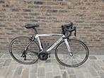 Colnago, Ophalen, Gebruikt, Aluminium, 15 tot 20 versnellingen