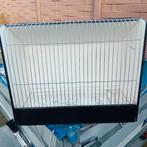 Grote TT Kooi, Dieren en Toebehoren, Ophalen, Gebruikt, Hout, Overige typen