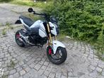 Honda MSX 125 (Grom) | 7.780 km | Vol met top accessoires!, Motoren, Motoren | Honda, Particulier, 125 cc, Naked bike