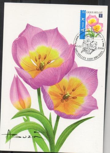 Année 2009 : Carte maximum 3872 - Tulipe Baken - Buzin - Obl
