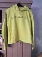 Trui maat L pieces, Kleding | Dames, Truien en Vesten, Ophalen of Verzenden, Zo goed als nieuw, Maat 42/44 (L)