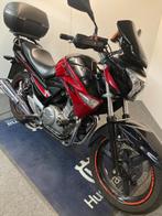 Suzuki GW 250 Inazuma MY'17 ref. LS 3039, Motoren, Motoren | Suzuki, 250 cc, 2 cilinders, Bedrijf, Toermotor