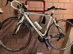 koersfiets Pinarello, Gebruikt, Carbon, 49 tot 53 cm, 15 tot 20 versnellingen