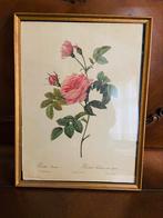 Reproduction roses de  Redouté, Antiek en Kunst