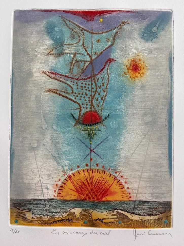 René Carcan - kleurenets, Antiek en Kunst, Kunst | Etsen en Gravures, Ophalen of Verzenden