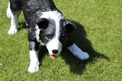 Standbeeld van een levensgrote BORDER COLLIE hond, Tuin en Terras, Tuinbeelden, Nieuw, Dierenbeeld, Kunststof, Ophalen