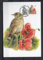 Année 1997 : Carte maximum 2705 - Oiseaux - Alouette des cha, Timbres & Monnaies, Timbres | Europe | Belgique, Enlèvement ou Envoi