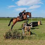 Zadelmak maken of doorrijden van paarden en of pony's, Dieren en Toebehoren, Ophalen of Verzenden