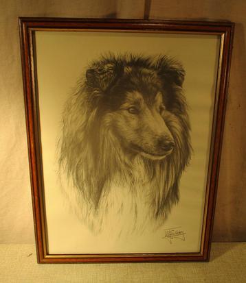 Mooie Tekening 'Lassie de Hond' - M Sibley beschikbaar voor biedingen