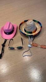 2 hoedjes en 2 brilletjes voor klein hondje, alles voor 10€, Enlèvement, Comme neuf