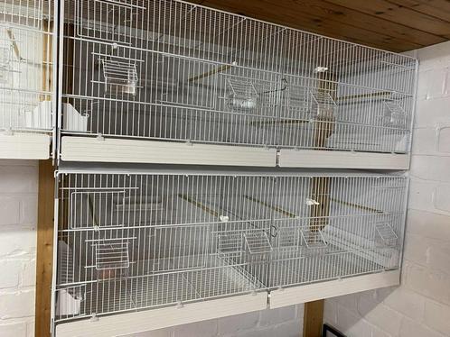 Kweekooien Domus Molinari, Dieren en Toebehoren, Vogels | Hokken en Kooien, Zo goed als nieuw, Ophalen