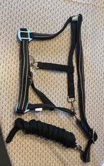 NIEUW halster (full) + halstertouw, Animaux & Accessoires, Chevaux & Poneys | Brides & Harnachement, Enlèvement ou Envoi, Neuf