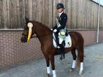 Top D-pony 10 jaar, Dieren en Toebehoren, Merrie, ZZ, D pony (1.37m tot 1.48m), Dressuurpony