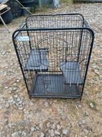 Kooi voor parkiet/papegaai, Dieren en Toebehoren, Ophalen