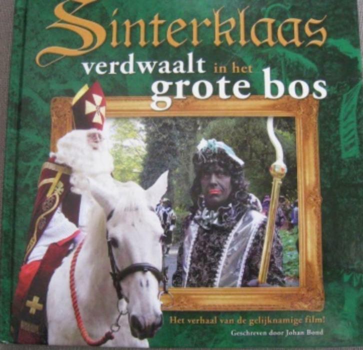 Sinterklaas verdwaalt in het grote bos, Diversen, Sinterklaas, Zo goed als nieuw, Ophalen of Verzenden