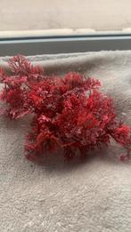 Kunstplant visbak, Huis en Inrichting, Woonaccessoires | Kunstplanten en Kunstbloemen, Ophalen of Verzenden, Zo goed als nieuw