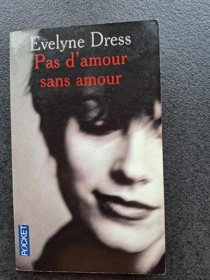 Pas d'amour sans amour - Evelyne Dress, Livres, Romans, Utilisé, Enlèvement ou Envoi