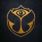 2x Tomorrowland Versuz VIP Friday W2 ruilen, Tickets en Kaartjes, Concerten | Dance, Twee personen
