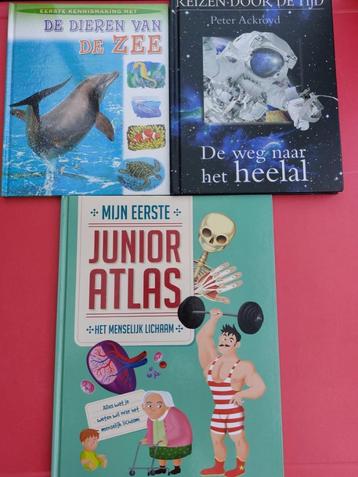 Pakket boeken voor kleine wetenschappers beschikbaar voor biedingen