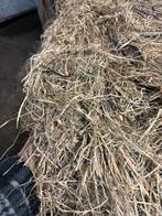 2de snee droog hooi in gewikkelde bollen, Enlèvement