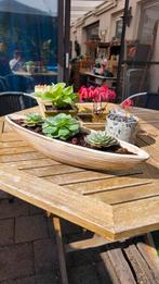 Prachtige schaal met vetplanten nieuw, Huis en Inrichting, Kamerplanten, Ophalen