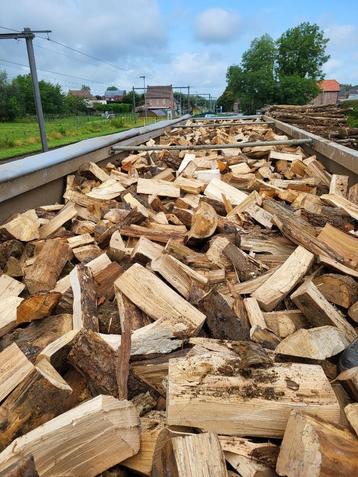 Brandhout losgestort + GRATIS aanmaakhout beschikbaar voor biedingen