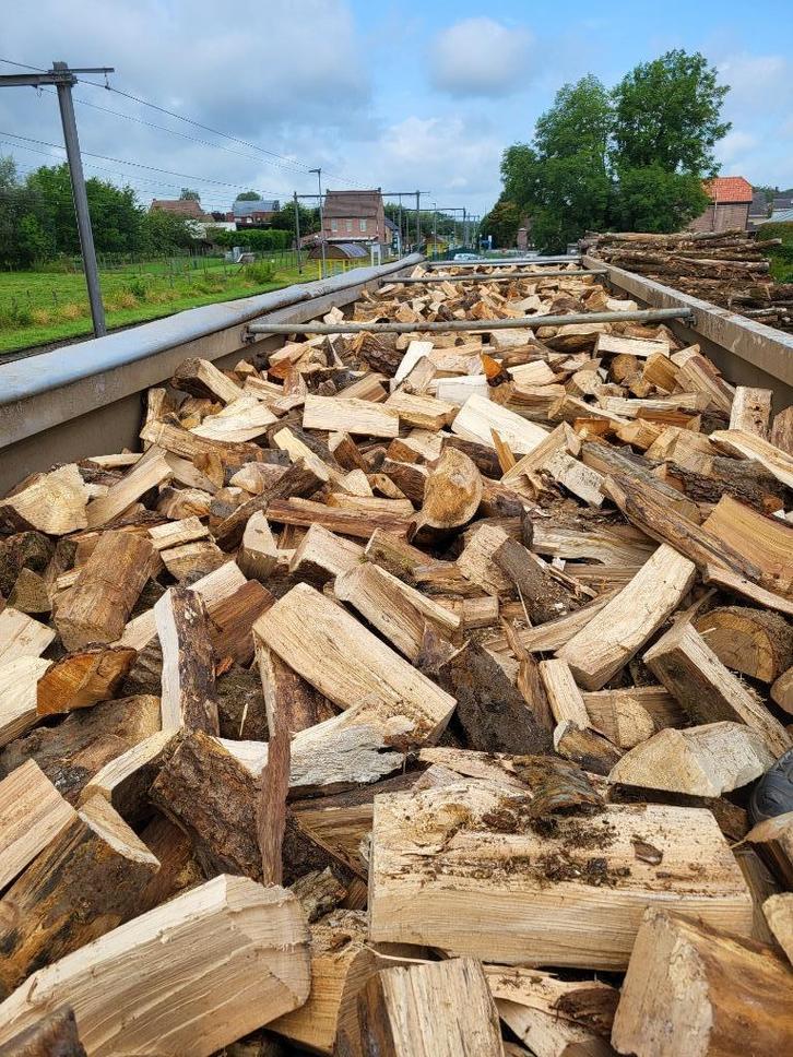 Brandhout losgestort + GRATIS aanmaakhout, Tuin en Terras, Brandhout, Blokken, Beukenhout, 6 m³ of meer, Verzenden
