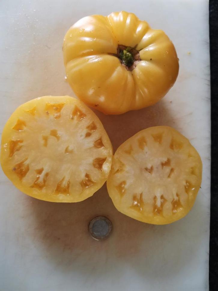 Coeur de boeuf tomaat Lemon Oxheart - 5 zaden, Tuin en Terras, Bloembollen en Zaden, Zaad, Voorjaar, Verzenden