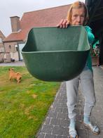 Voederbak/legbak, Dieren en Toebehoren, Januari