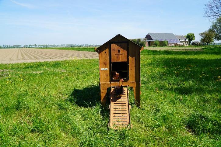 Trespa Kippenhok / Classic L Op Pootjes - Cucciolotta, Dieren en Toebehoren, Pluimvee | Toebehoren, Zo goed als nieuw, Kippenhok of Kippenren
